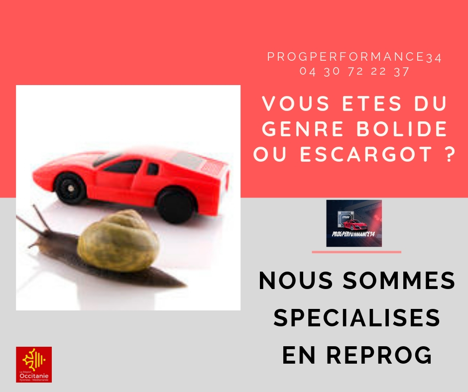 expert-reprog-a-montpellier