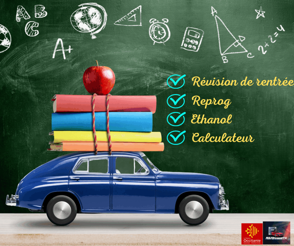 reprog-ethanol-calculateur-revision-progperformance34 (1)