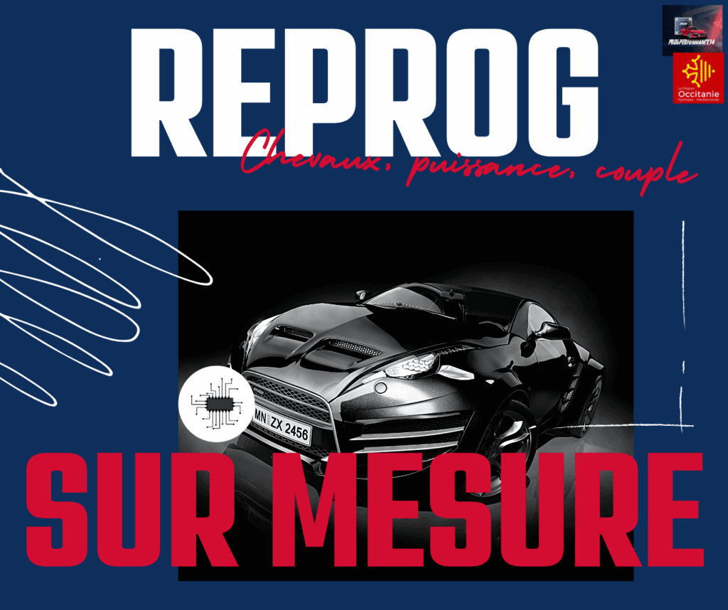 reprog-sur-mesure-a-montpellier